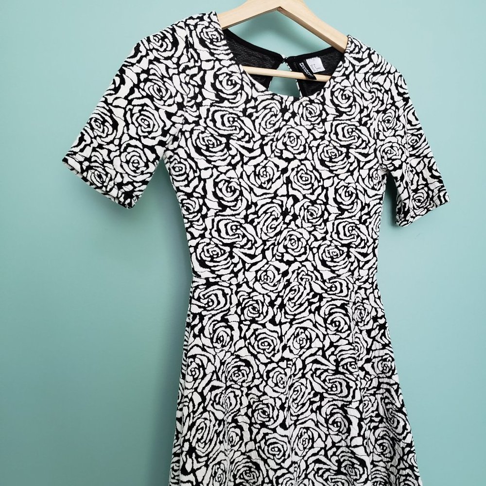 H&M Black and white skater dress